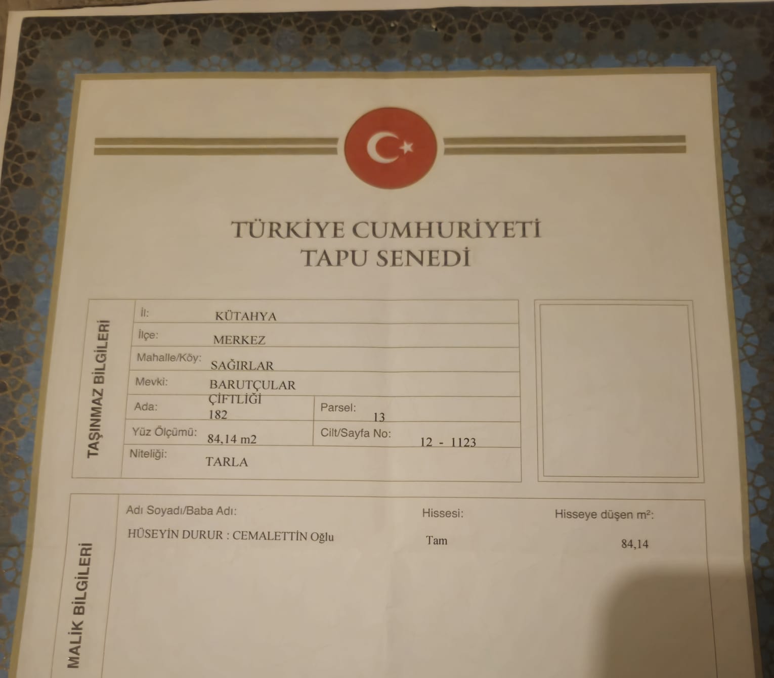Fotoğraf